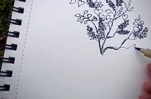 Drawing being made of branches of an old lilac.