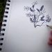 Drawing being made of branches of an old lilac.